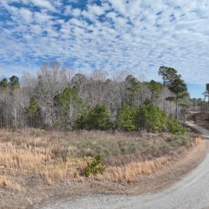 Photo #20 of 405 Batts Island Road, edenton, NC 10.7 acres