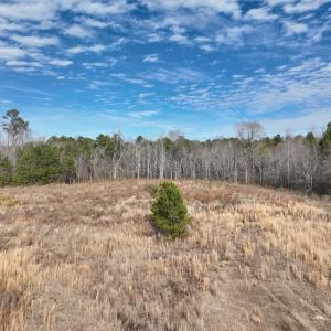 Photo #21 of 405 Batts Island Road, edenton, NC 10.7 acres