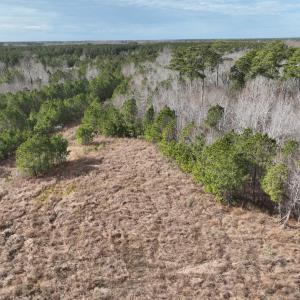 Photo #24 of 405 Batts Island Road, edenton, NC 10.7 acres