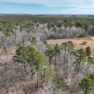 Photo #25 of 405 Batts Island Road, edenton, NC 10.7 acres