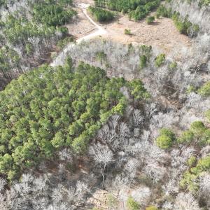 Photo #33 of 405 Batts Island Road, edenton, NC 10.7 acres