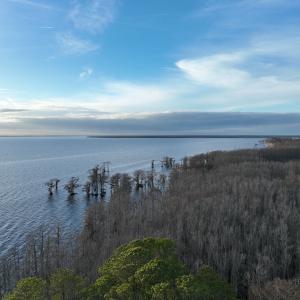 Photo #41 of 405 Batts Island Road, edenton, NC 10.7 acres