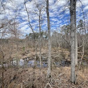 Photo #42 of 405 Batts Island Road, edenton, NC 10.7 acres