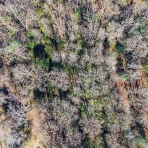 Photo #19 of 4048 Bob Stroud Rd, Pink Hill, NC 4.2 acres