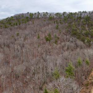 Photo #1 of Off Big Rock Ln, Lowgap, NC 7.0 acres