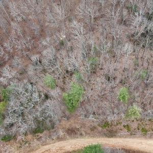 Photo #12 of Off Big Rock Ln, Lowgap, NC 7.0 acres