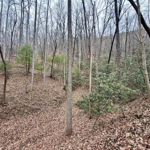 Photo #16 of Off Big Rock Ln, Lowgap, NC 7.0 acres