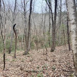 Photo #21 of Off Big Rock Ln, Lowgap, NC 7.0 acres