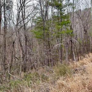 Photo #2 of Off Big Rock Ln, Lowgap, NC 7.0 acres