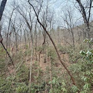 Photo #22 of Off Big Rock Ln, Lowgap, NC 7.0 acres