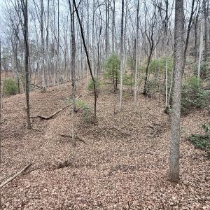 Photo #24 of Off Big Rock Ln, Lowgap, NC 7.0 acres