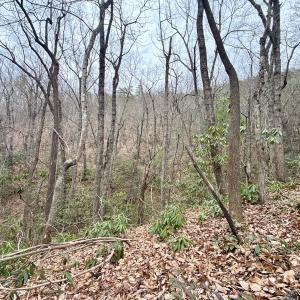 Photo #26 of Off Big Rock Ln, Lowgap, NC 7.0 acres