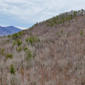 Photo #27 of Off Big Rock Ln, Lowgap, NC 7.0 acres