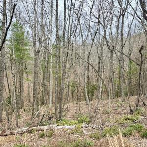 Photo #3 of Off Big Rock Ln, Lowgap, NC 7.0 acres