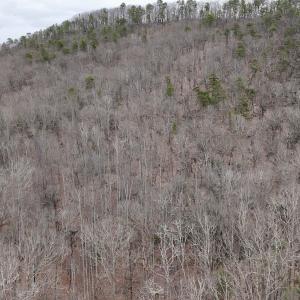 Photo #32 of Off Big Rock Ln, Lowgap, NC 7.0 acres