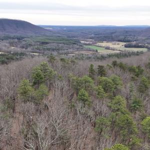 Photo #5 of Off Big Rock Ln, Lowgap, NC 7.0 acres