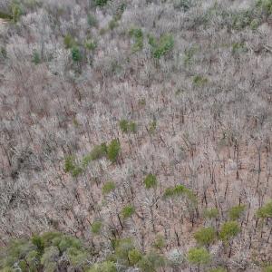 Photo #7 of Off Big Rock Ln, Lowgap, NC 7.0 acres