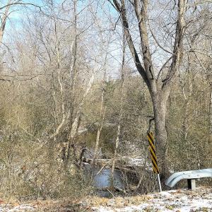 Photo #5 of Off Moonlight Rd., Emporia, VA 29.1 acres