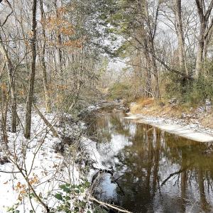 Photo #6 of Off Moonlight Rd., Emporia, VA 29.1 acres