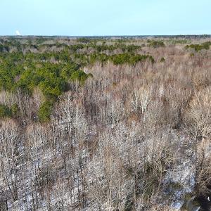 Photo #2 of Off Moonlight Rd., Emporia, VA 29.1 acres