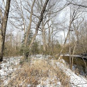 Photo #11 of Off Moonlight Rd., Emporia, VA 29.1 acres