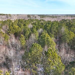 Photo #18 of Off Moonlight Rd., Emporia, VA 29.1 acres