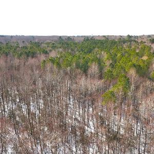 Photo #26 of Off Moonlight Rd., Emporia, VA 29.1 acres