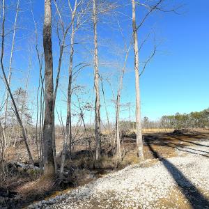 Photo #12 of Off Courthouse Road, Waverly, VA 8.1 acres