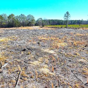 Photo #15 of Off Courthouse Road, Waverly, VA 8.1 acres