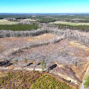 Photo #1 of Off Courthouse Road, Waverly, VA 8.1 acres