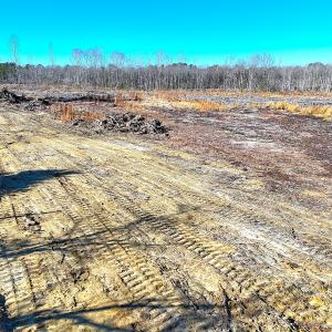 Photo #5 of Off Courthouse Road, Waverly, VA 8.1 acres