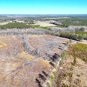 Photo #6 of Off Courthouse Road, Waverly, VA 8.1 acres