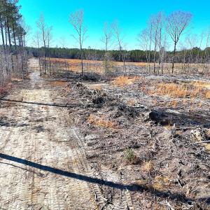 Photo #8 of Off Courthouse Road, Waverly, VA 8.1 acres