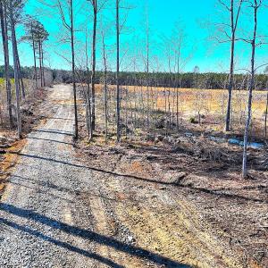 Photo #9 of Off Courthouse Road, Waverly, VA 8.1 acres