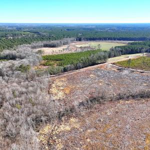 Photo #12 of Off Courthouse Road, Waverly, VA 10.2 acres