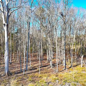 Photo #15 of Off Courthouse Road, Waverly, VA 10.2 acres