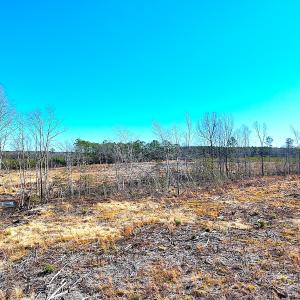 Photo #16 of Off Courthouse Road, Waverly, VA 10.2 acres