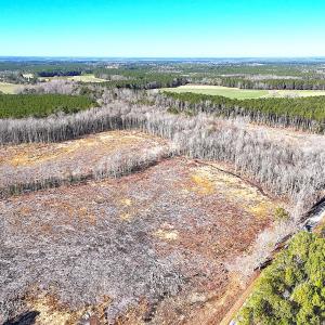 Photo #1 of Off Courthouse Road, Waverly, VA 10.2 acres