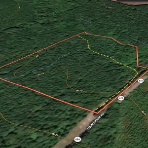 Photo #2 of Off Courthouse Road, Waverly, VA 10.2 acres