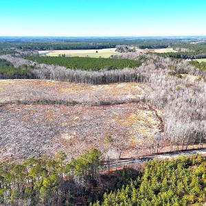 Photo #3 of Off Courthouse Road, Waverly, VA 10.2 acres