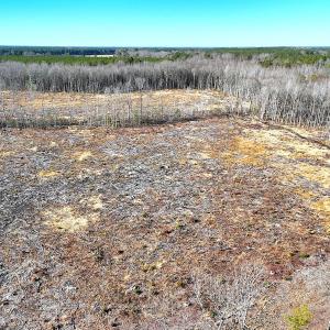 Photo #5 of Off Courthouse Road, Waverly, VA 10.2 acres