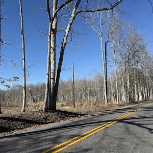 Photo #6 of Off Courthouse Road, Waverly, VA 10.2 acres