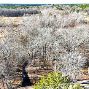 Photo #8 of Off Courthouse Road, Waverly, VA 10.2 acres