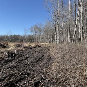 Photo #10 of Off Courthouse Road, Waverly, VA 10.2 acres