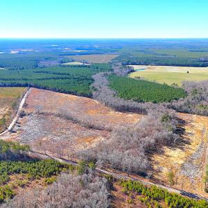 Photo #21 of Off Courthouse Road, Waverly, VA 10.2 acres