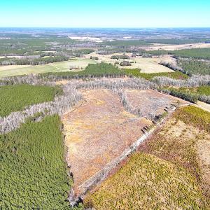 Photo #3 of Off Courthouse Road, Waverly, VA 31.5 acres
