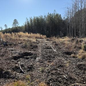 Photo #16 of Off Courthouse Road, Waverly, VA 31.5 acres