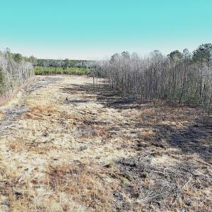 Photo #17 of Off Courthouse Road, Waverly, VA 31.5 acres