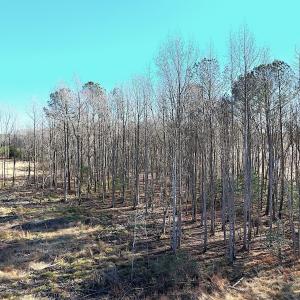 Photo #18 of Off Courthouse Road, Waverly, VA 31.5 acres