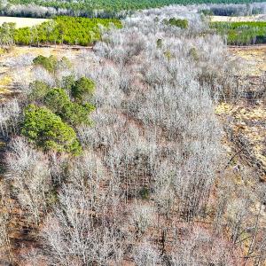 Photo #19 of Off Courthouse Road, Waverly, VA 31.5 acres